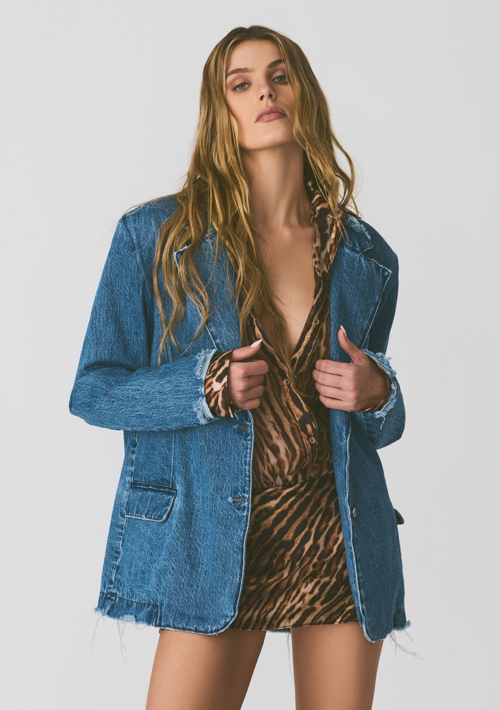 Hollis Blazer